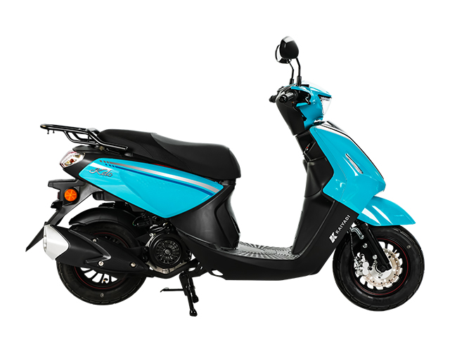 fleet scooter supplier